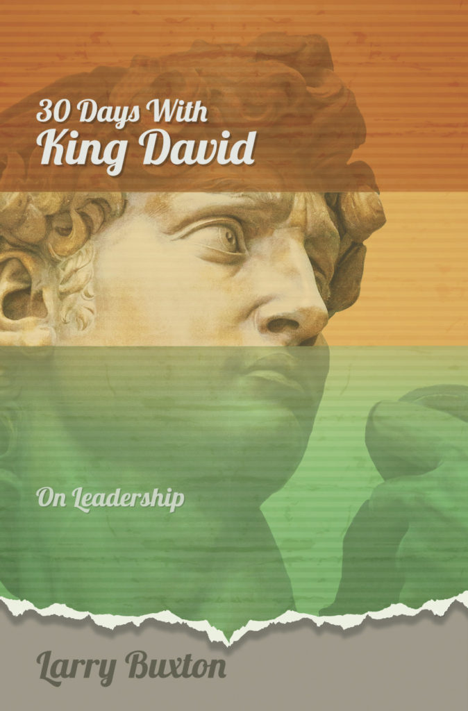 30 Days with King David book cover